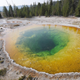 Las colonias de bacterias es lo que da el color a este estanque de Yellowstone. Foto: Joseph Shaw. Montana State University.
